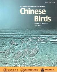 Chinese Birds